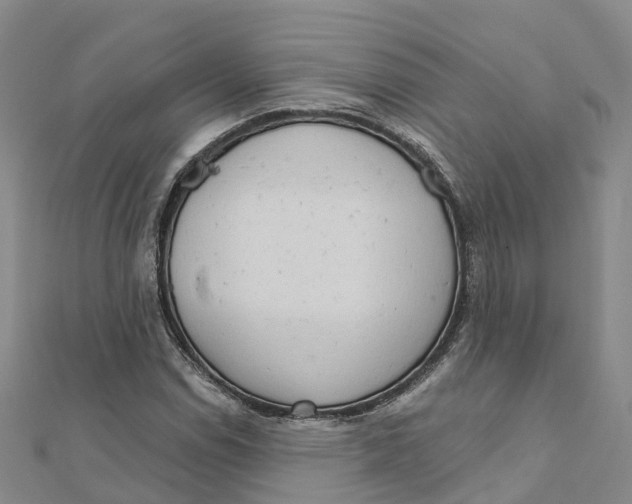 X0000111511114200908111303