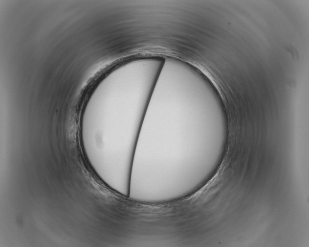 X0000111511115200908111303