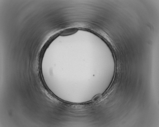 X0000111511116200908111303