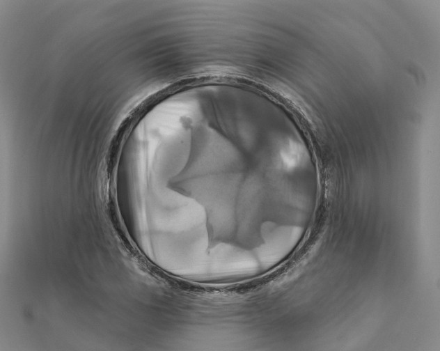 X0000111511117200908111303