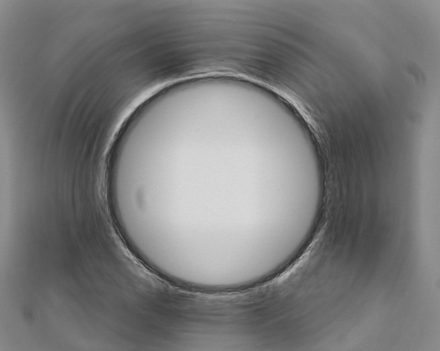 X0000111511118200908111303