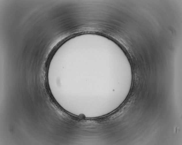 X0000111511119200908111303