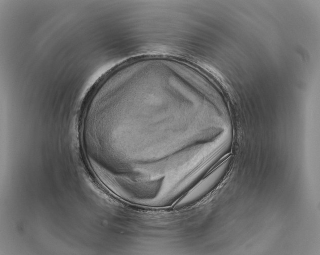 X0000111511120200908111303