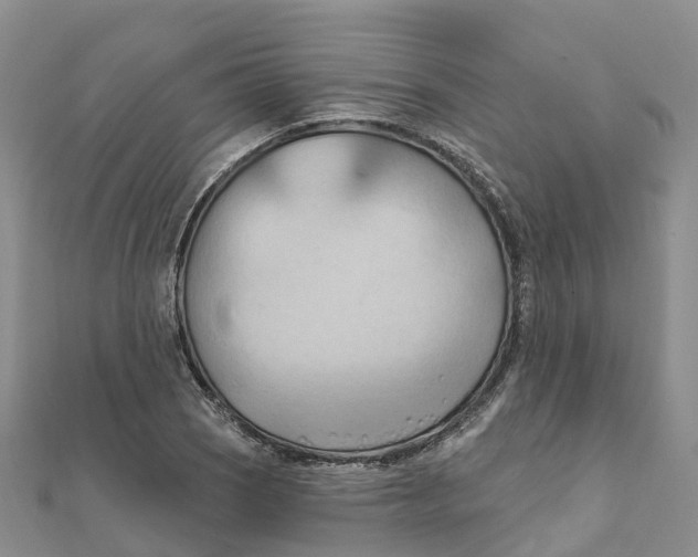 X0000111511121200908111303