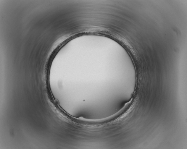 X0000111511122200908111303