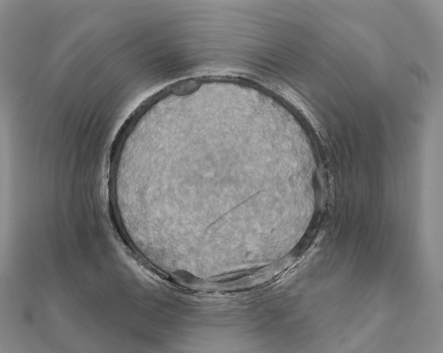 X0000111511124200908111303