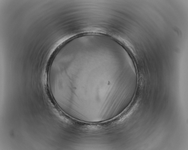 X0000111511125200908111303