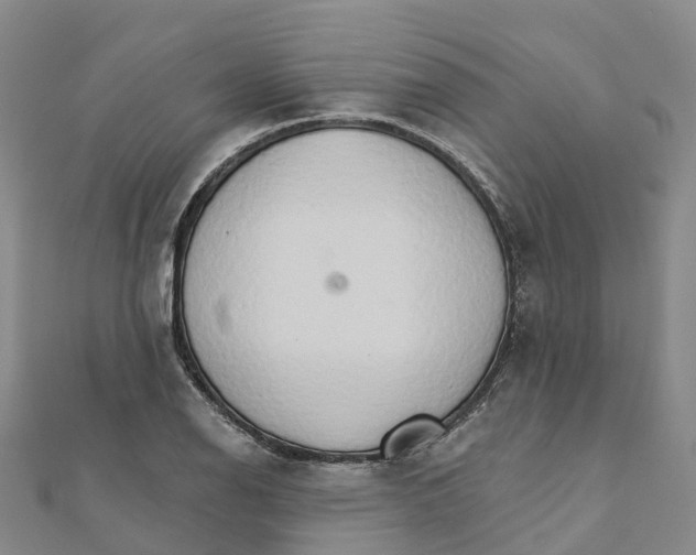 X0000111511126200908111303