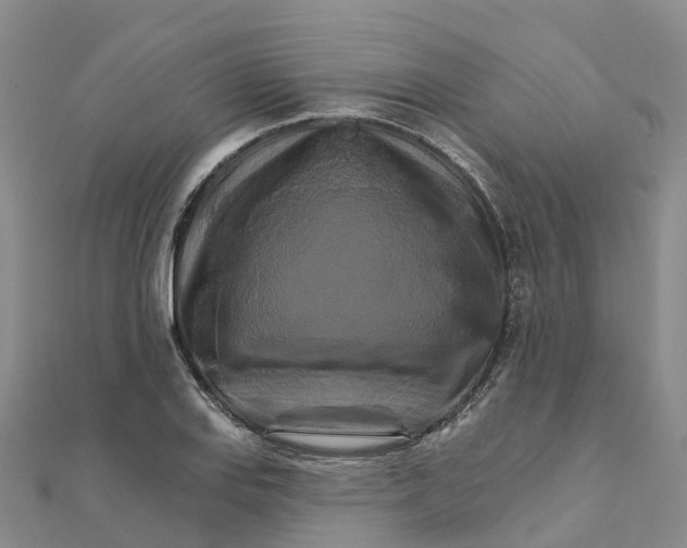X0000111511127200908111303