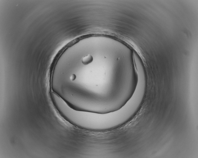 X0000111511128200908111303