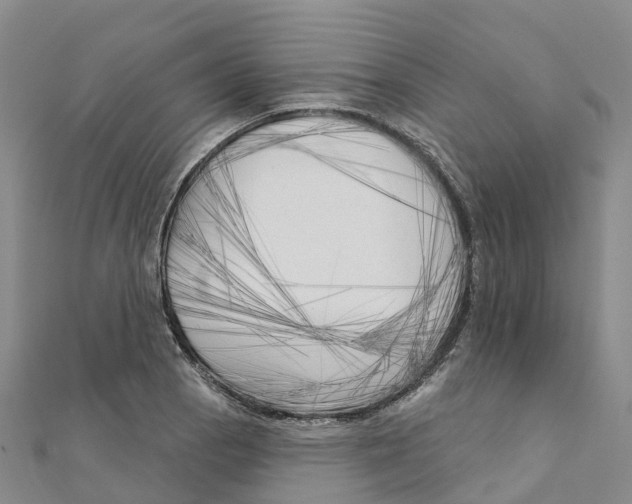 X0000111511129200908111303
