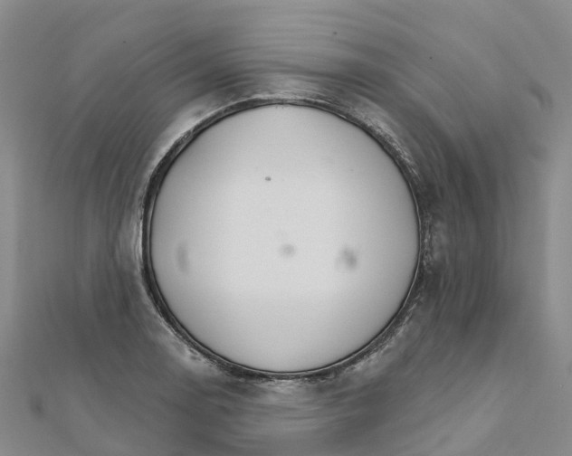 X0000111511130200908111303
