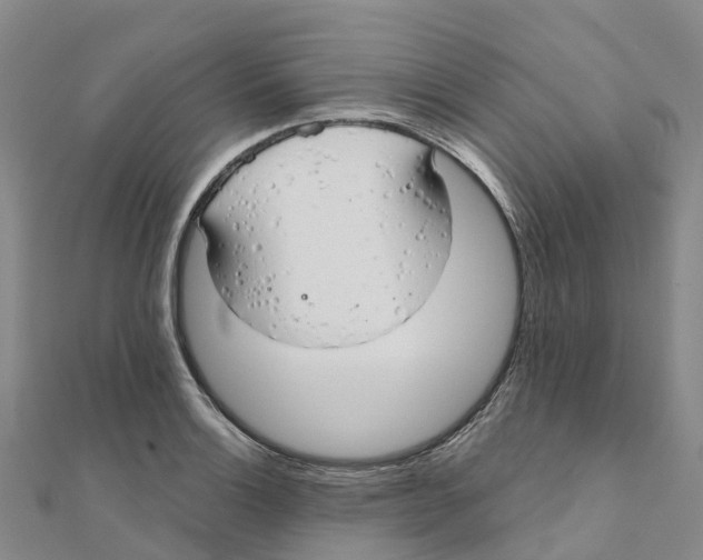 X0000111511132200908111303