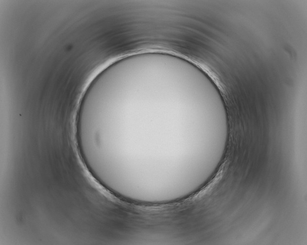 X0000111511134200908111303