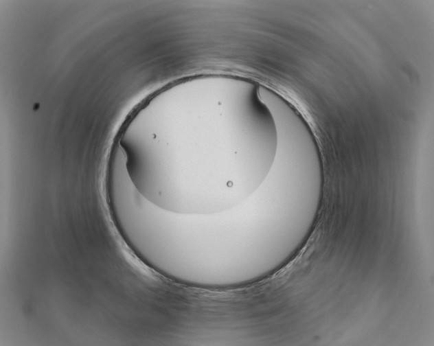 X0000111511136200908111303
