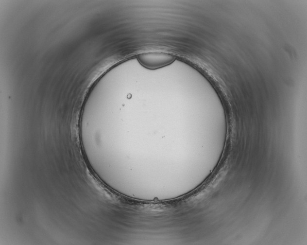 X0000111511137200908111303
