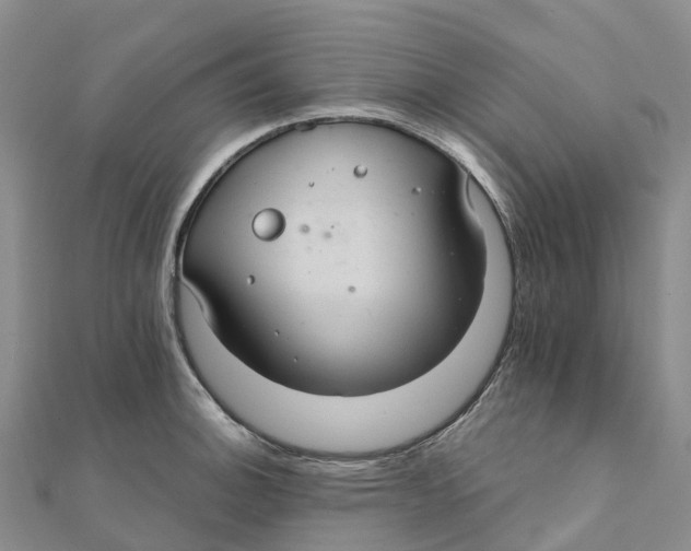 X0000111511140200908111303