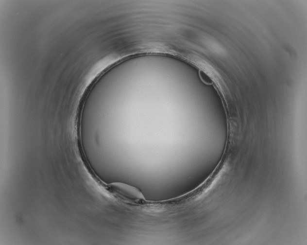 X0000111511141200908111303