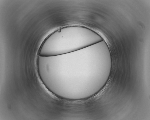 X0000111511142200908111303