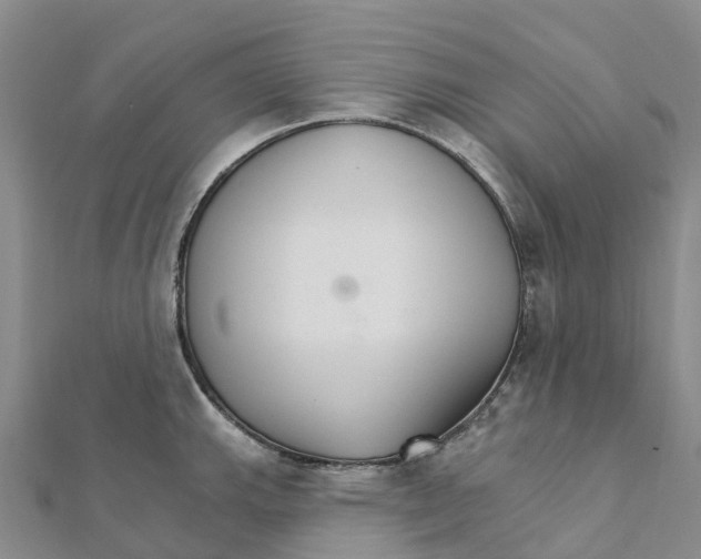 X0000111511143200908111303