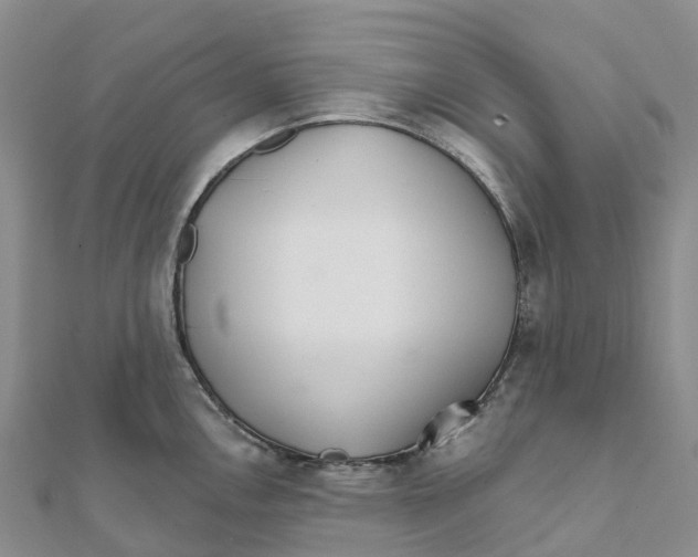 X0000111511146200908111303