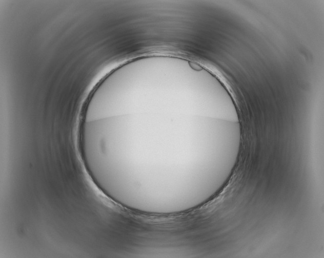 X0000111511147200908111303