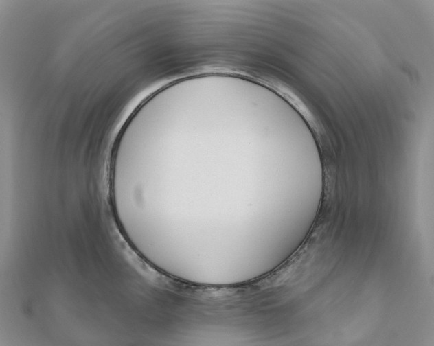 X0000111511148200908111303