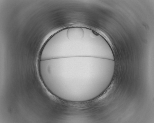 X0000111511149200908111303