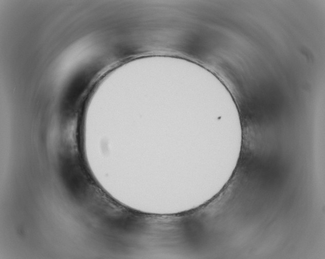 X0000111511150200908111303