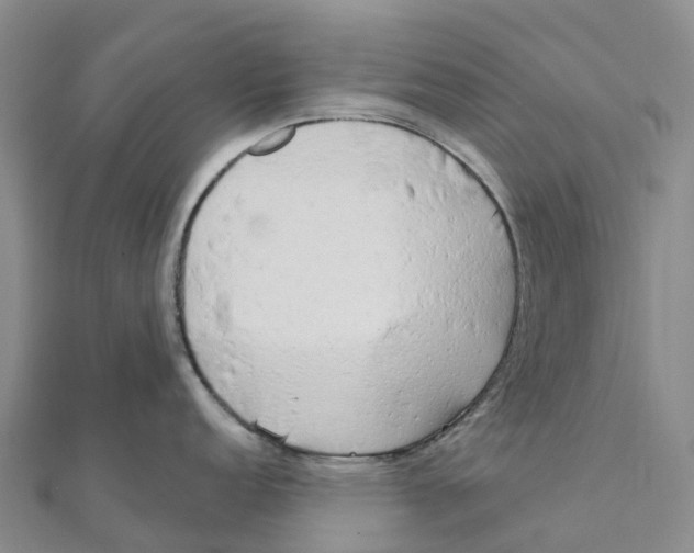 X0000111511152200908111303