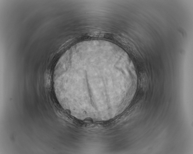 X0000111511154200908111302