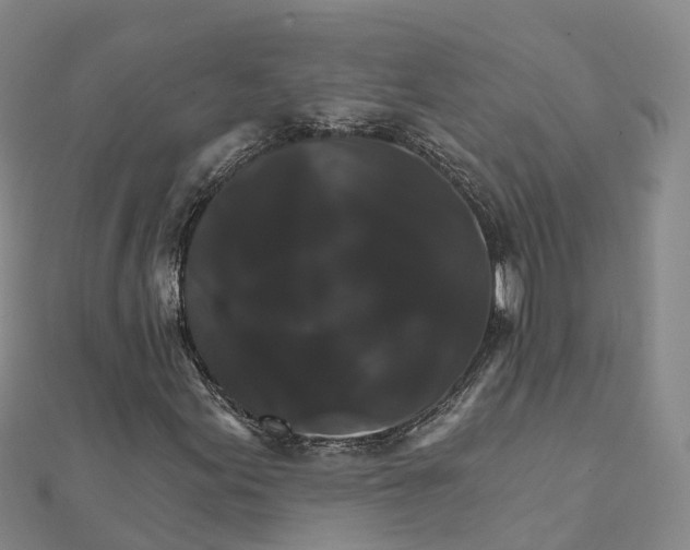X0000111511155200908111302