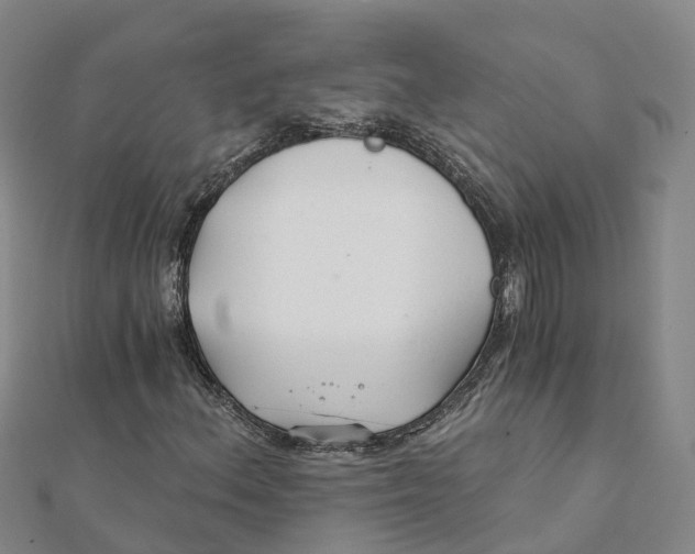 X0000111511156200908111302