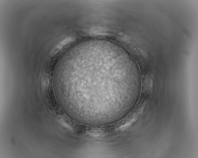 X0000111511157200908111302
