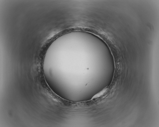 X0000111511159200908111302