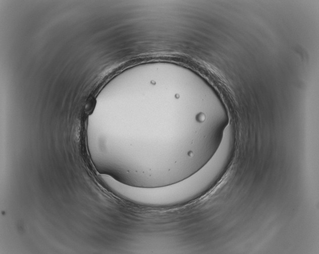 X0000111511161200908111302