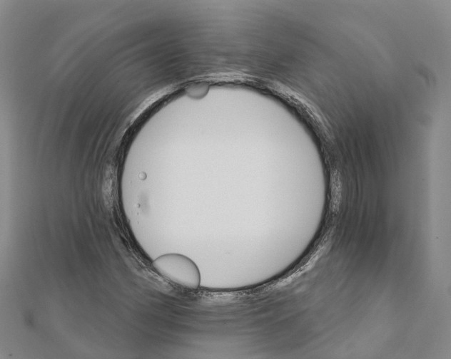 X0000111511162200908111302