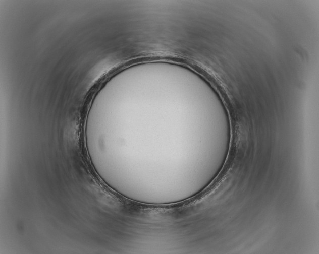 X0000111511163200908111302
