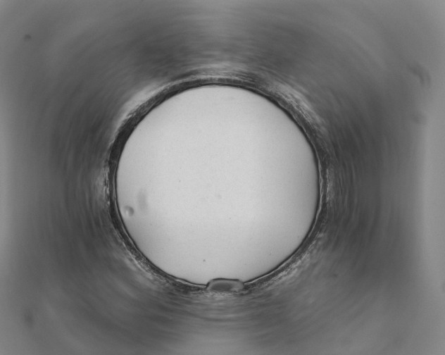 X0000111511164200908111302