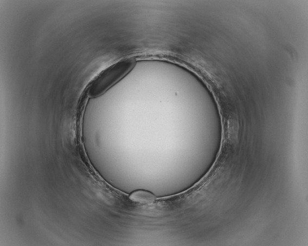 X0000111511165200908111302