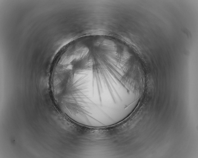 X0000111511166200908111302