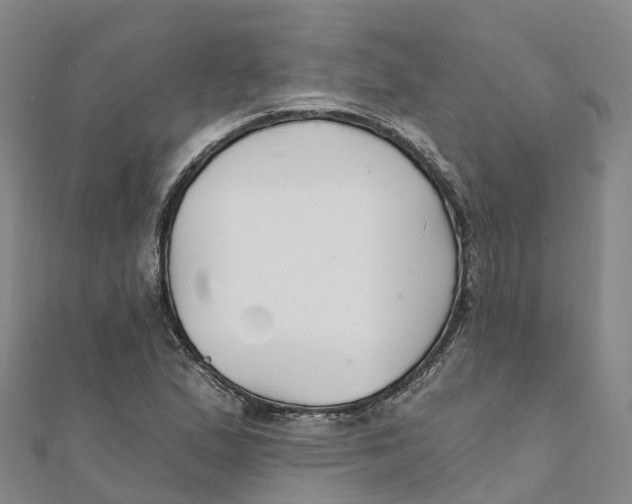 X0000111511167200908111302