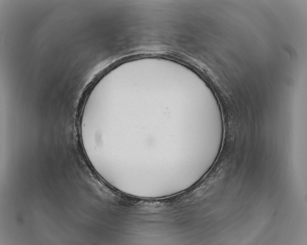 X0000111511168200908111302
