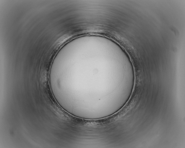 X0000111511169200908111302