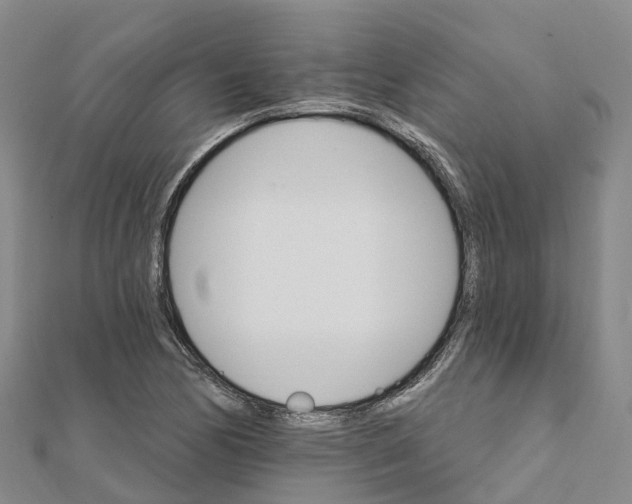 X0000111511170200908111302