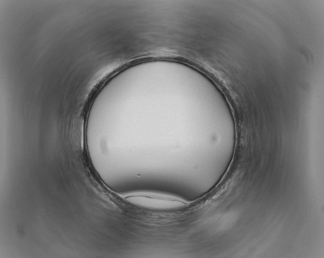 X0000111511171200908111302