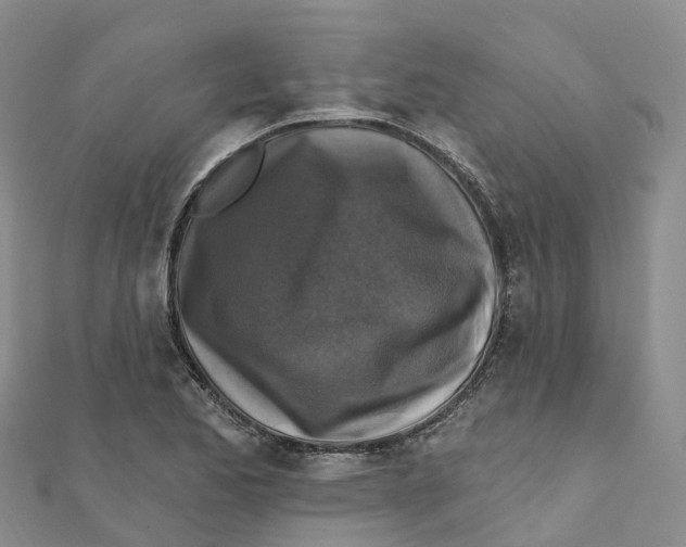 X0000111511173200908111302