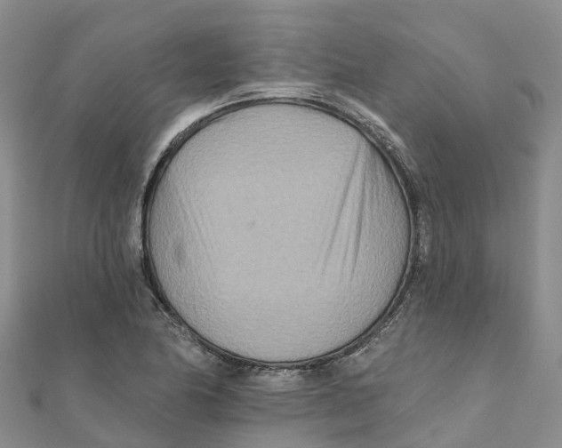 X0000111511174200908111302