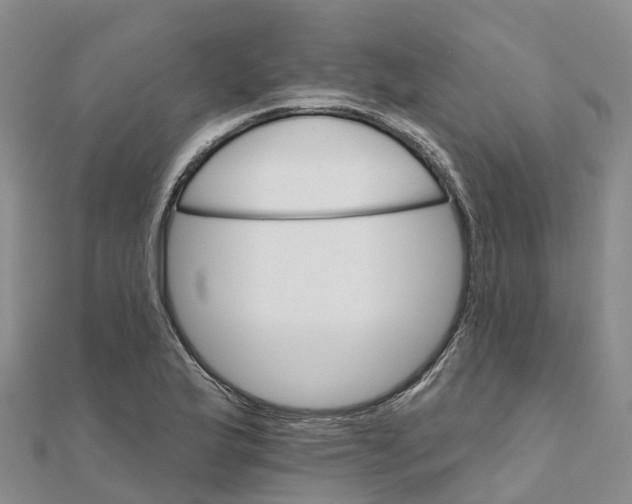 X0000111511175200908111302