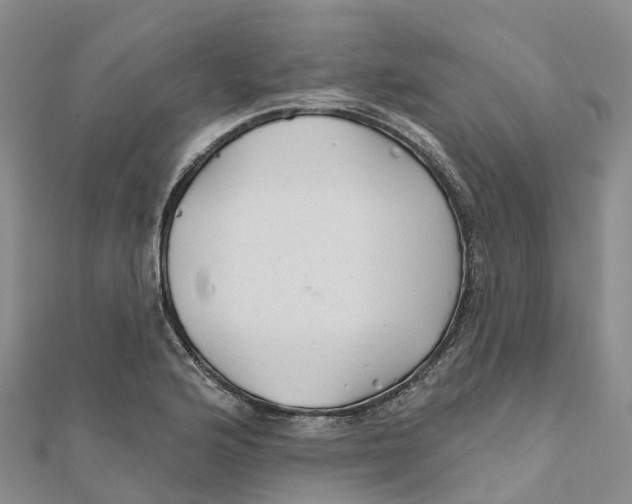 X0000111511176200908111302